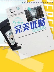 完美证据