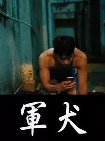 军犬