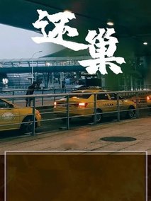 还巢