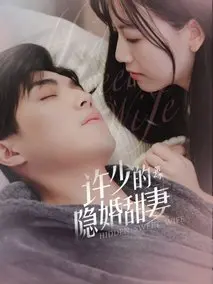 许少的隐婚甜妻第二季