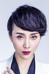 刘总