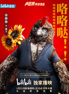 雕宝