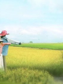 我的田园女友