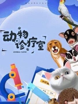 动物诊疗室