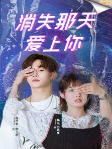 消失那天爱上你