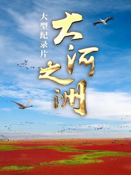 大河之洲