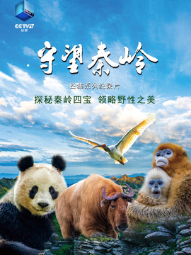 守望秦岭