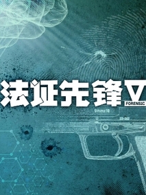 法证先锋Ⅴ