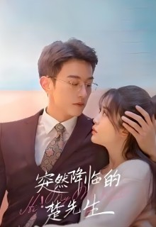 突然降临的楚先生