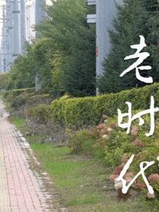 总有人盯上我