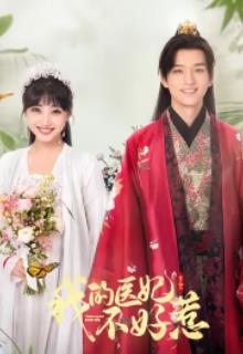 我的医妃不好惹第三季