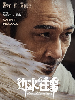 猜叔