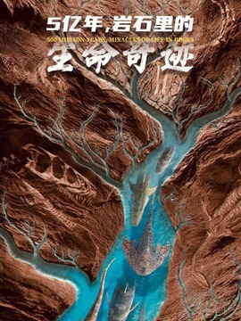 5亿年，岩石里的生命奇迹