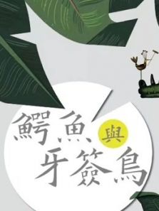 鳄鱼与牙签鸟DVD版