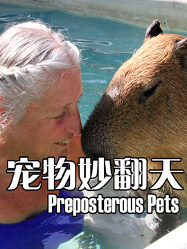 宠物妙翻天