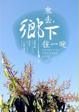 来去乡下住一晚