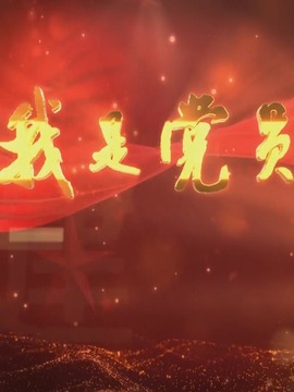我是党员