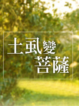 土虱变菩萨
