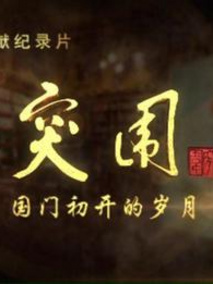突围---国门初开的岁月