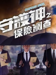 守护神之保险调查 粤语