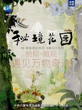 秘境花园
