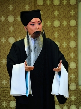 搜孤救孤