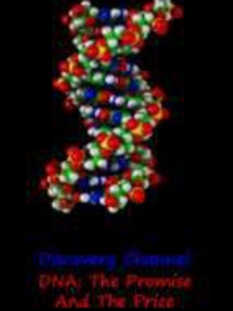 DNA：得失之间
