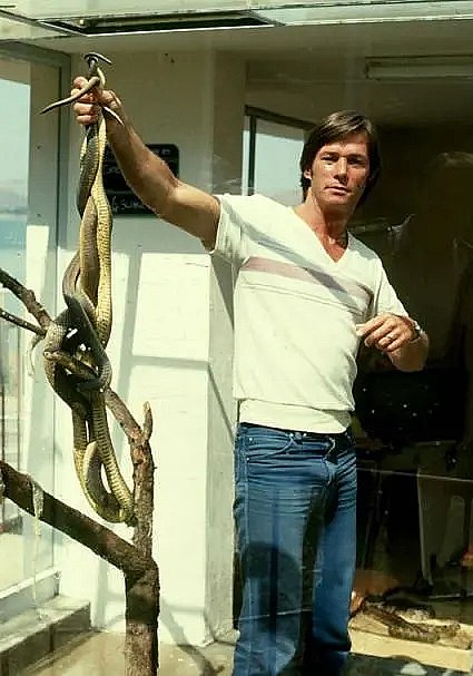 奥斯汀&middot;史蒂文斯