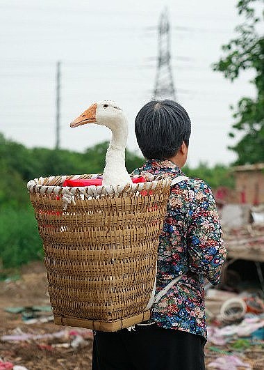 王芳