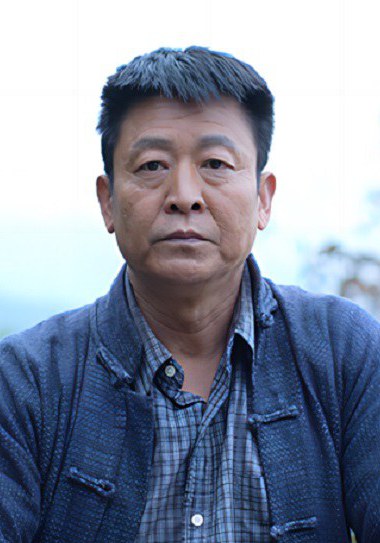 卜文革