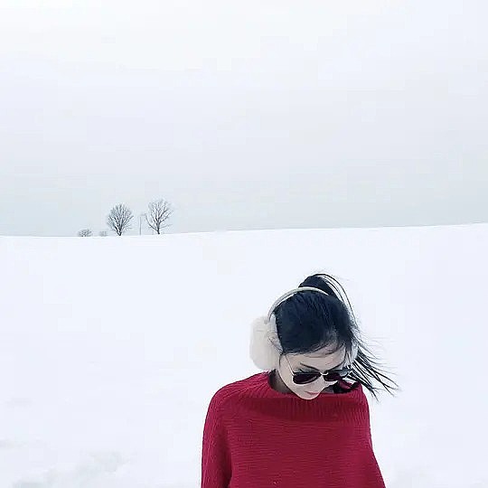 宋苏圆