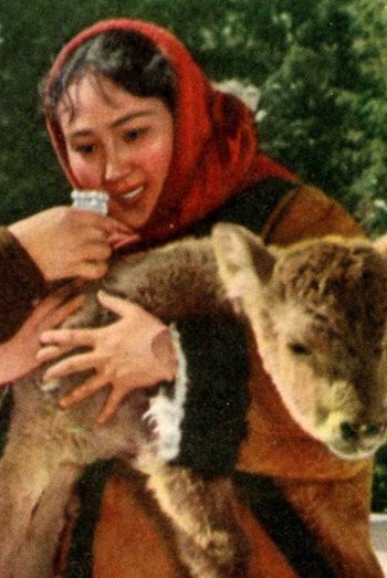 热希妲