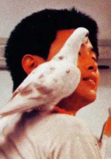 李晶冰