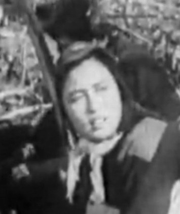 秦布华