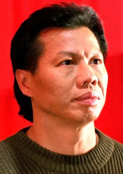 杨斯