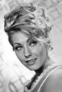 Judi