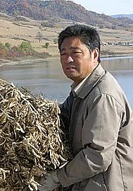 鞠庆洲