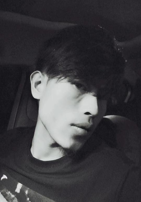 蓝淘