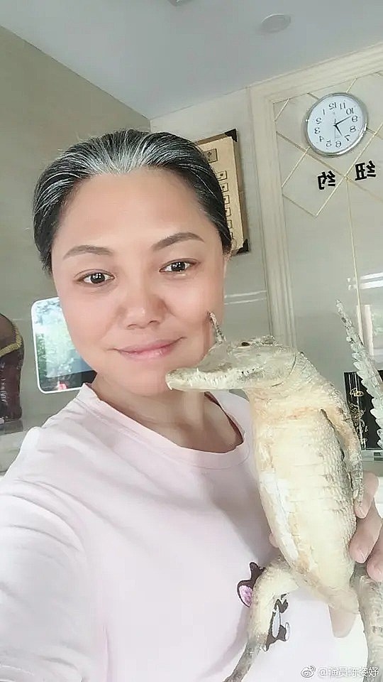 陈姿妤