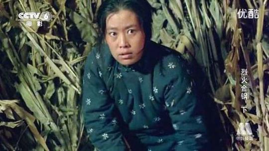金棣