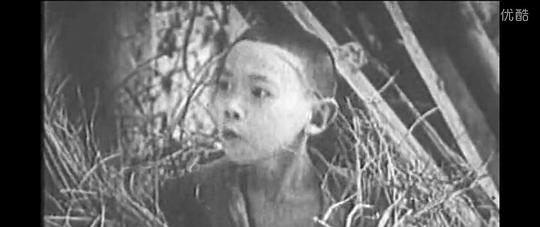 张哲德