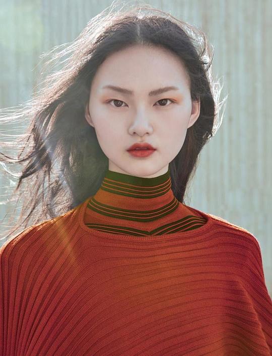 贺聪