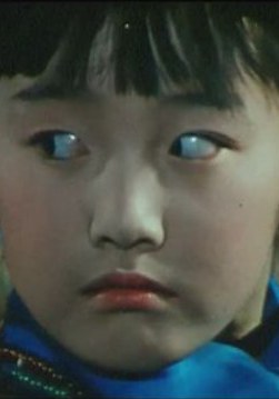 陆茜