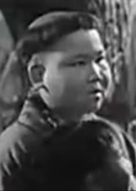 闻林泉