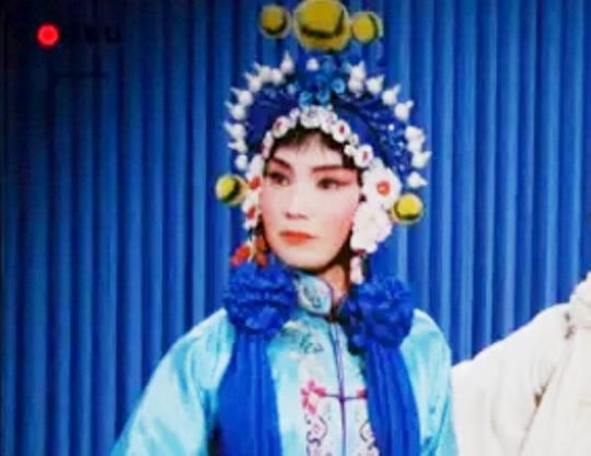 单体明